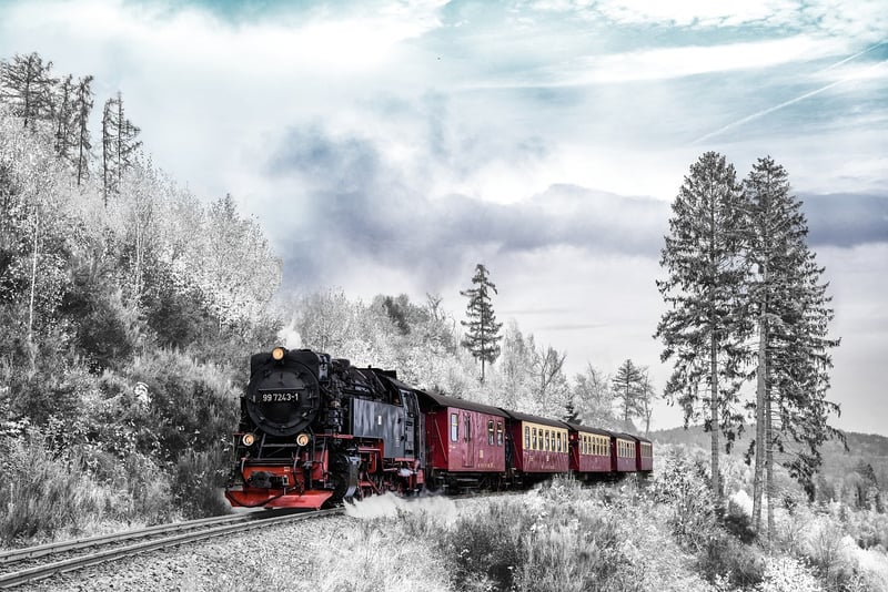 Wilderness Journeys